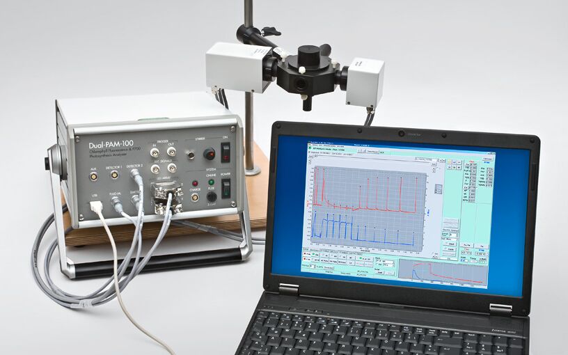 P700 & Chlorophyll Fluorescence System